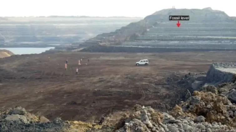 Otobüsten Uzun Dev Yılan Bulundu: Sıcaklık Arttıkça Daha da Büyüyebilir