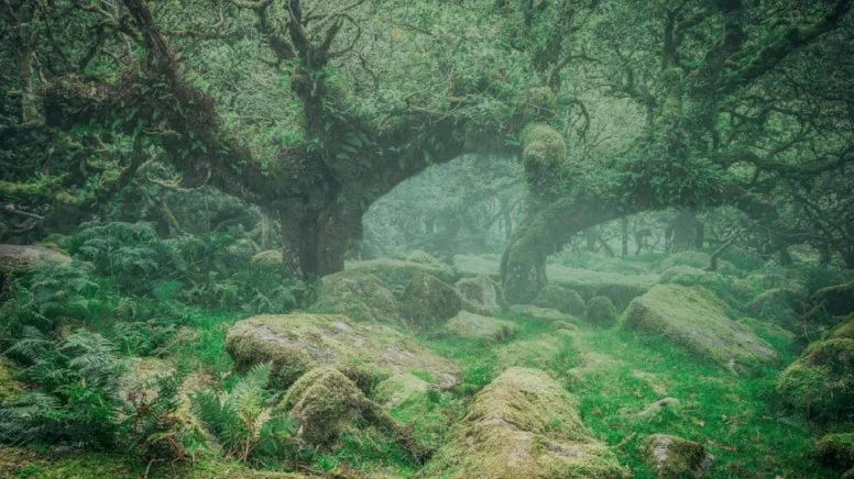 Akdeniz’in Derinliklerinde Zaman Yolculuğu: 3 Bin 300 Yıllık Kayıp Hazine Bulundu